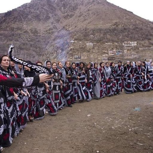 WhatsApp Image 2026-03-08 at 11.48.17